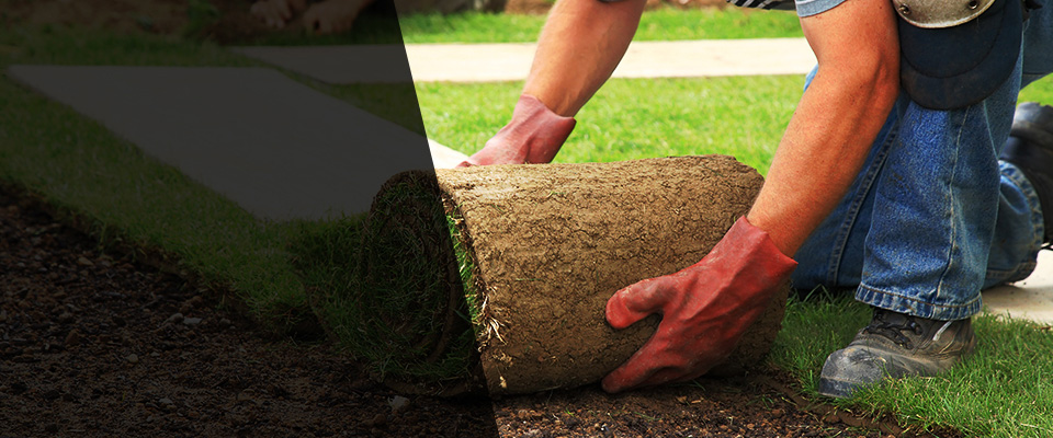 Maylene Landscapers